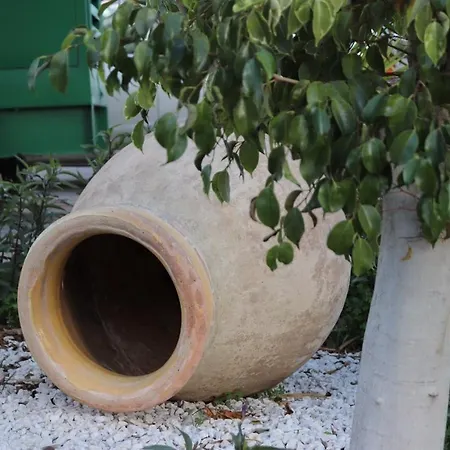 فندق Meryem's Agios Epiktitos