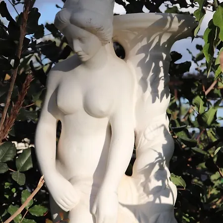 فندق Meryem's Agios Epiktitos