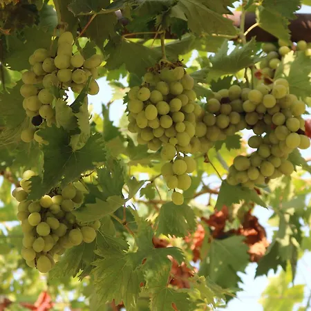 Meryem's فندق 3*