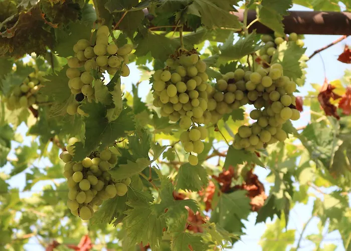 Meryem's ホテル 3*