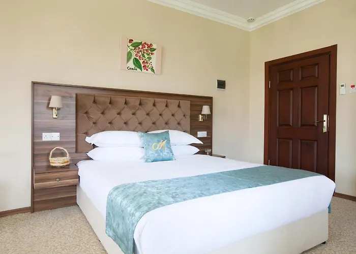 ホテル Meryem's 3*