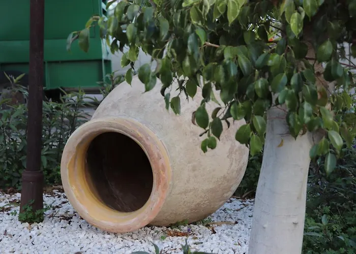 Meryem's ホテル Ayios Epiktitos